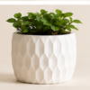 The BloomHexa Planter By The Sundayy