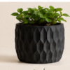 The BloomHexa Planter By The Sundayy