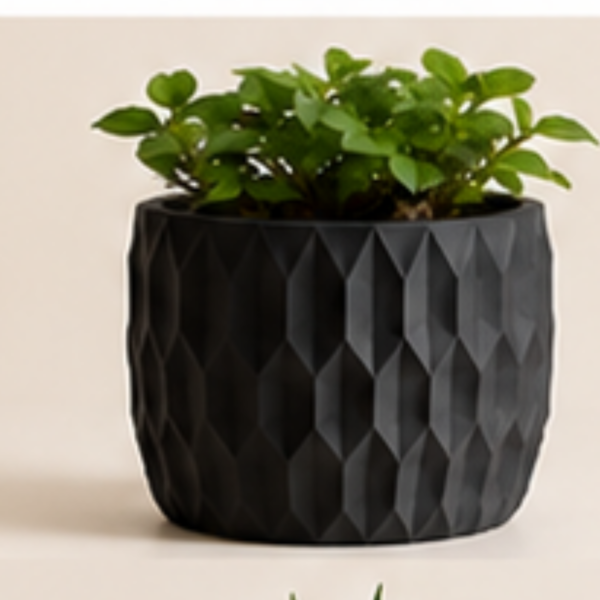The BloomHexa Planter By The Sundayy