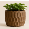 The BloomHexa Planter By The Sundayy