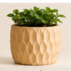 The BloomHexa Planter By The Sundayy