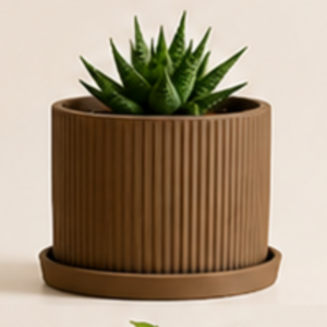 The BloomLinear with Plate Planter By The Sundayy