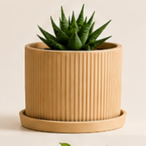 The BloomLinear with Plate Planter By The Sundayy
