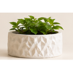 The BloomWall Planter by The Sundayy