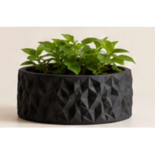 The BloomWall Planter by The Sundayy