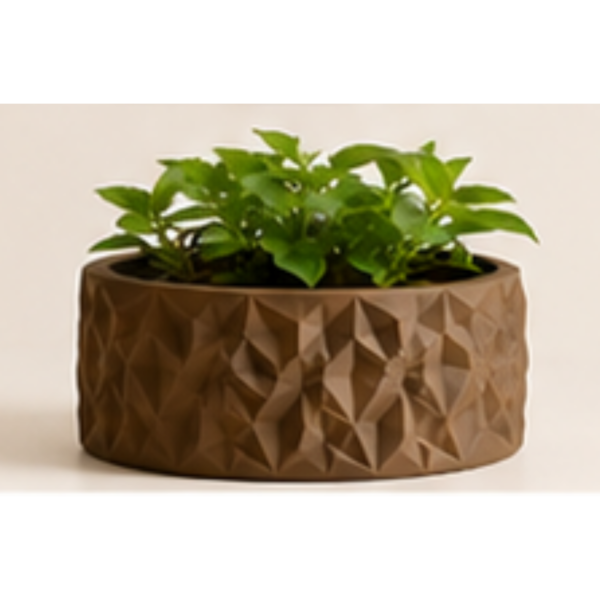 The BloomWall Planter by The Sundayy