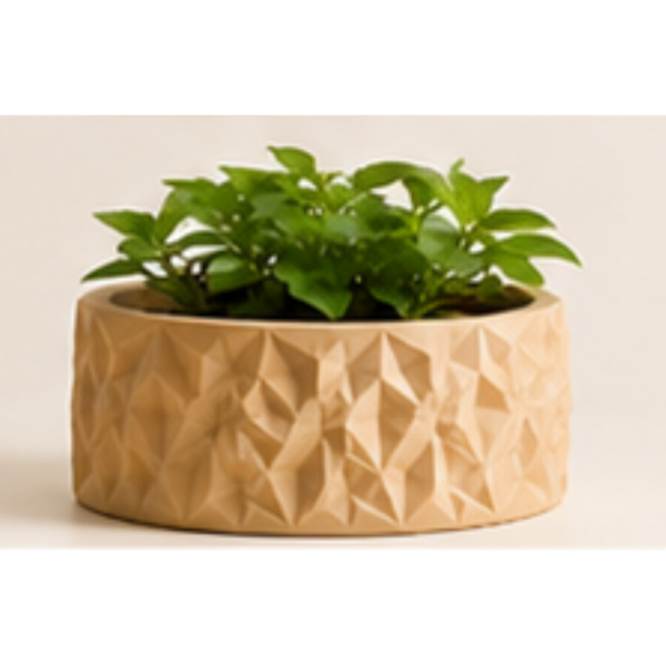The BloomWall Planter by The Sundayy